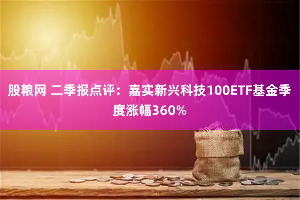 股粮网 二季报点评：嘉实新兴科技100ETF基金季度涨幅360%